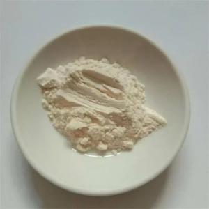Ferric Pyrophosphate