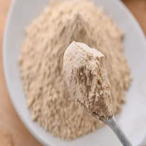 Yeast Extract Powder