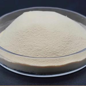 Yeast Protein Powder